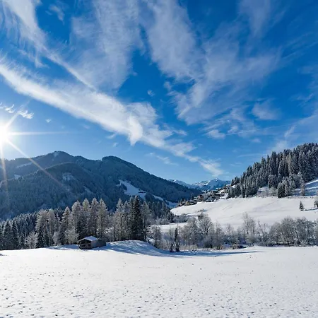 Casa vacanze Wildschoenau In Kitzbuehel Alps Niederau