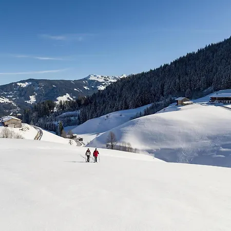 Wildschoenau In Kitzbuehel Alps