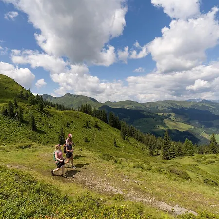 Casa vacanze Wildschoenau In Kitzbuehel Alps Niederau