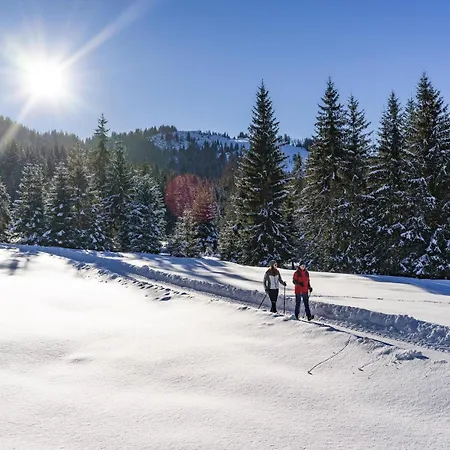 Wildschoenau In Kitzbuehel Alps Casa vacanze *