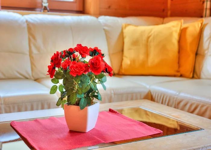 度假居 Wildschoenau In Kitzbuehel Alps *