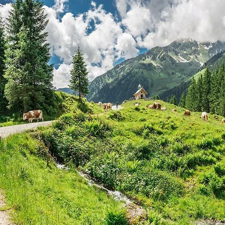 Feriendorf Wildschoenau In Kitzbuehel Alps