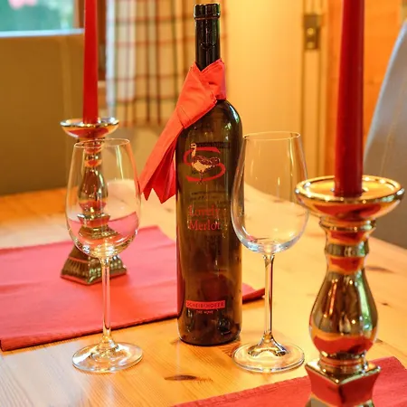 Дом отдыха Feriendorf Wildschoenau In Kitzbuehel Alps Нидерау