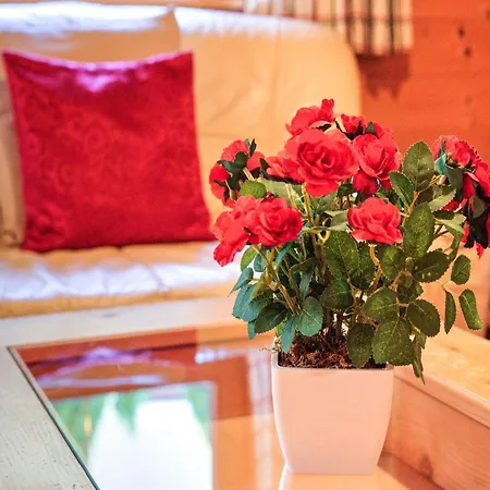 Feriendorf Wildschoenau In Kitzbuehel Alps