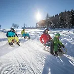 Holiday home Wildschoenau In Kitzbuehel Alps *