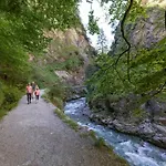 Wildschoenau In Kitzbuehel Alps *