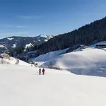 Wildschoenau In Kitzbuehel Alps