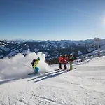 Holiday home Wildschoenau In Kitzbuehel Alps Niederau