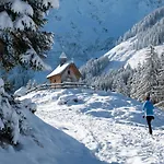 Wildschoenau In Kitzbuehel Alps *