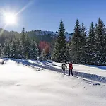 Wildschoenau In Kitzbuehel Alps Holiday home *
